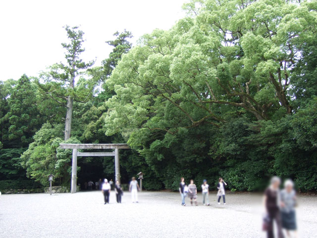 http://www.eimu.com/dgcol/ise01