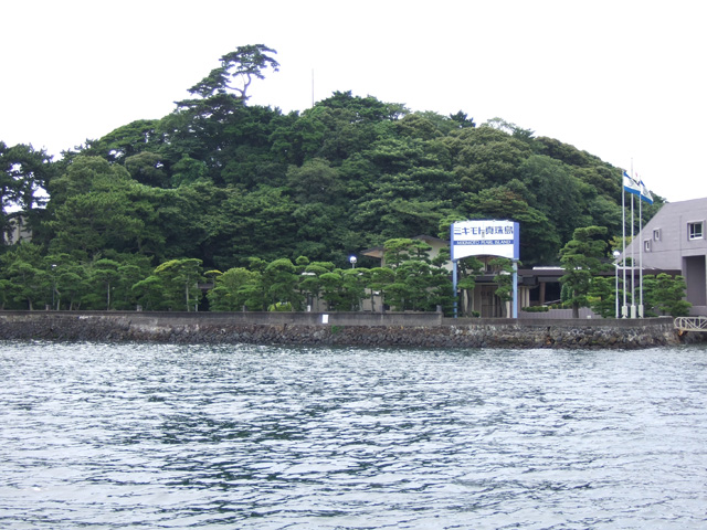 http://www.eimu.com/dgcol/miki